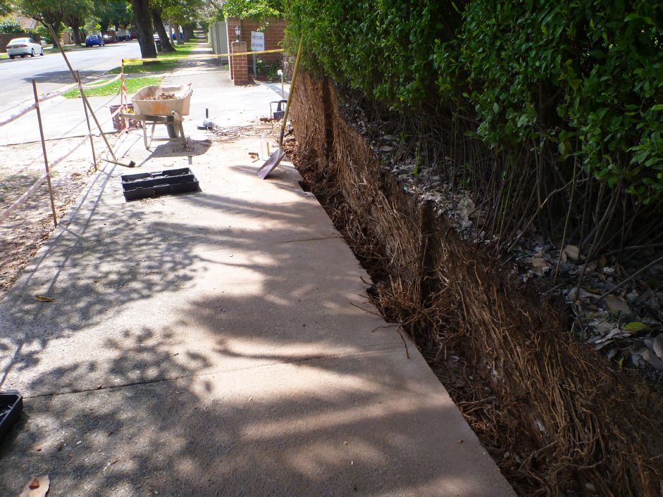 Brick Front Fence